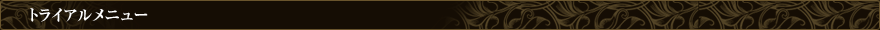 トライアルメニュー